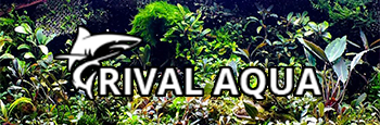 rival-aqua.com rival-aqua.com